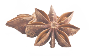 Başlık 13