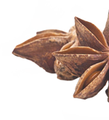 Ürünlerimiz